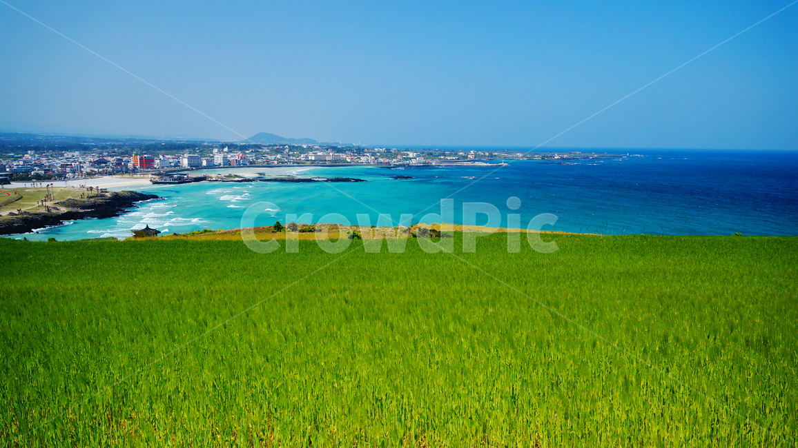 제주도,함덕,청보리,함덕해수욕장,서우봉,에메랄드바다,제주시,함덕해변,자연,풍경,nature,landscape,해변,바다,beach,sea,제주도,jeju,jeju island,outdoors,옥외,land,땅,water,물