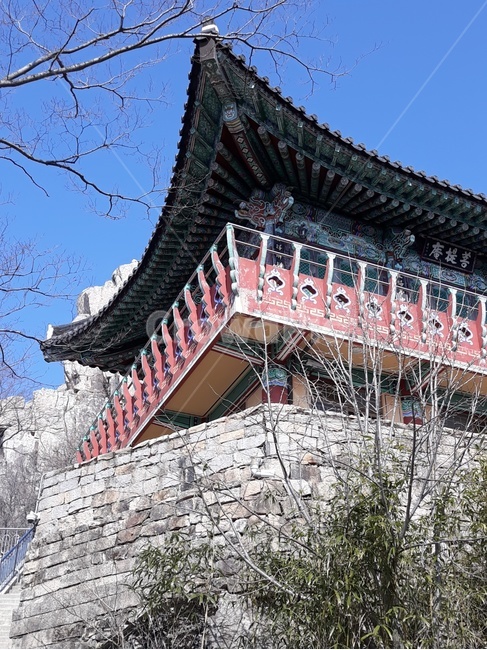 사찰,한국,전통양식,문화,하늘,가지,벽돌,산,절