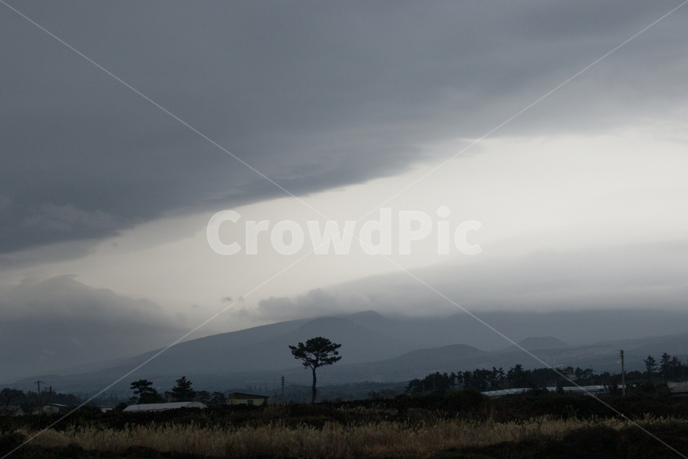 nature,자연,outdoors,옥외,weather,날씨,나무,구름