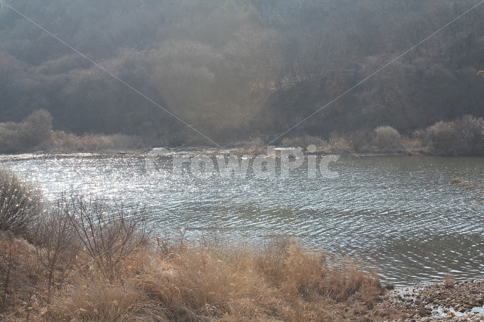 강,풍경,강가풍경,물,자연,자연,풍경,nature,landscape