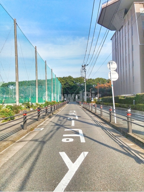 후쿠오카,fukuoka,거리,street,road,길,자연,풍경,nature,landscape,해외,외국,세계,foreign,oversea,world,도로,freeway,고속 도로,highway,고속도로