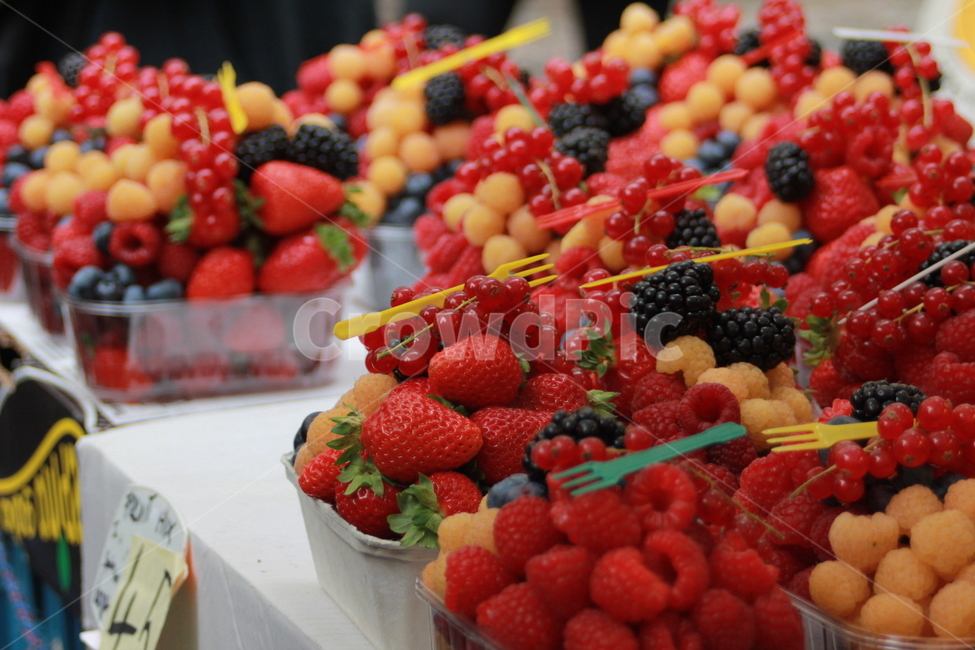 fruit,과일,food,음식,산딸기,raspberry