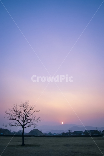 왕릉,나무,저녁노을,해,노을빛,theRoyaltomb,석양,신비로움,자연,풍경,nature,landscape,한국자연풍경,한국자연경관,korea nature landscape,한국전통,한국문화,korean traditional,korean culture,랜드마크,landmark,tourist attraction,한국랜드마크,한국관광지,한국명소,korea landmark,korea tourist attraction,색깔,색상,색채,색감,color sense,color sensitivity,feeling of color
