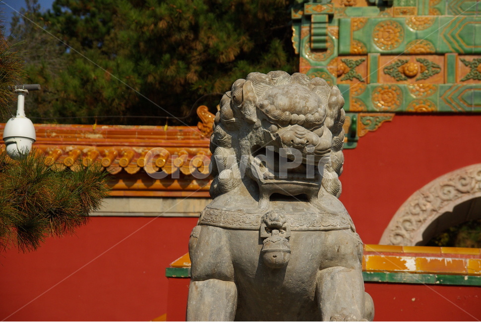 중국,북경,베이징,사자상,china,나무,풍경,beijing,색감