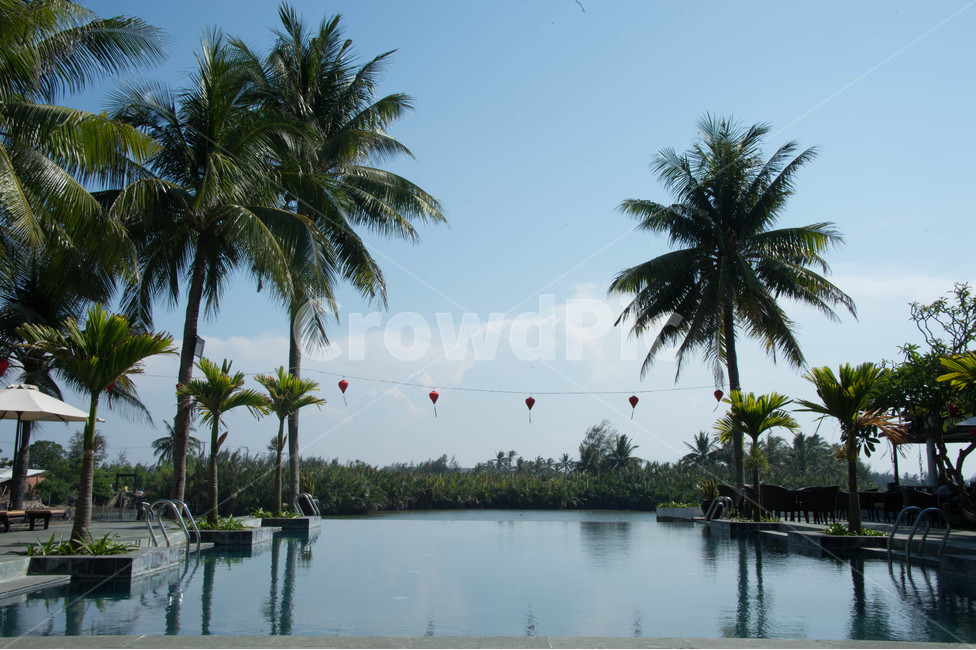 풀빌라,베트남,야자수,호이안,동남아,해외,외국,세계,foreign,oversea,world,여행,휴가,traveling,vacation,trip