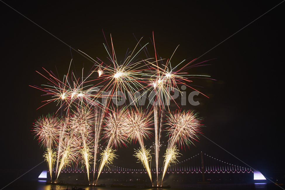 불꽃,불꽃놀이,부산불꽃축제,폭죽,부산밤바다,화약,야경,밤,풍경,nightscape,night,landscape,nature,자연,outdoors,옥외