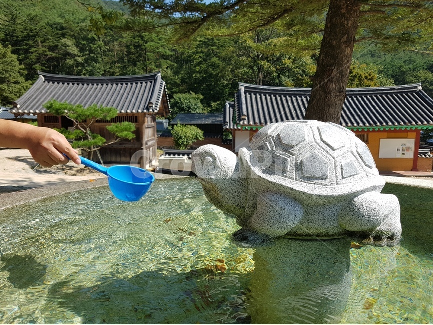 약수터,거북,한국여행,travelinKorea,내소사,조각상,약수물,풍경,바가지,파랑,나무,절,건물,blue,turtle,background,tree,nature,한국전통,한국문화,korean traditional,korean culture,조각상,동상,석상,조형물,statue,bronze statue,stone statue,종교,신앙,religion,belief,faith