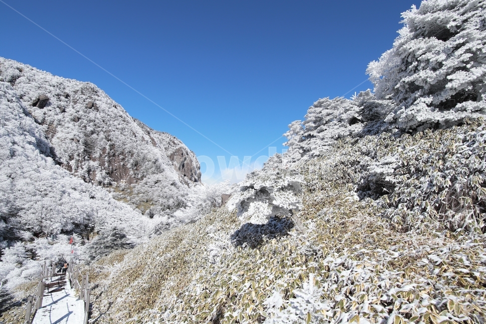 한라산,상고대,설산,겨울,겨울산행,눈꽃,진달래대피소,성판악,관음사,제주도,제주,백록담,겨울,계절,winter,season,자연,풍경,nature,landscape,한국자연풍경,한국자연경관,korea nature landscape,제주도,jeju,jeju island,outdoors,옥외,mountain,산
