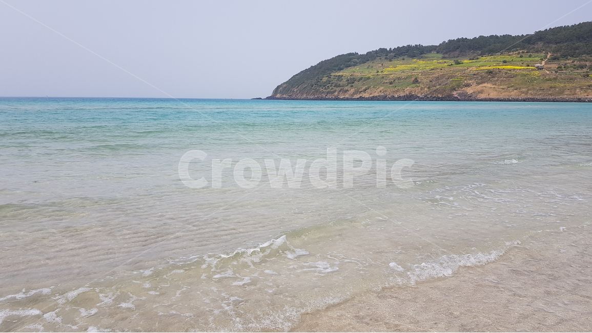 제주,제주도,서우봉,바다,바닷가,해변,파도,봄,jeju,자연,풍경,nature,landscape,한국자연풍경,한국자연경관,korea nature landscape,제주도,jeju,jeju island,land,땅,outdoors,옥외,water,물,shoreline,해안선,sea,ocean,대양,coast,연안