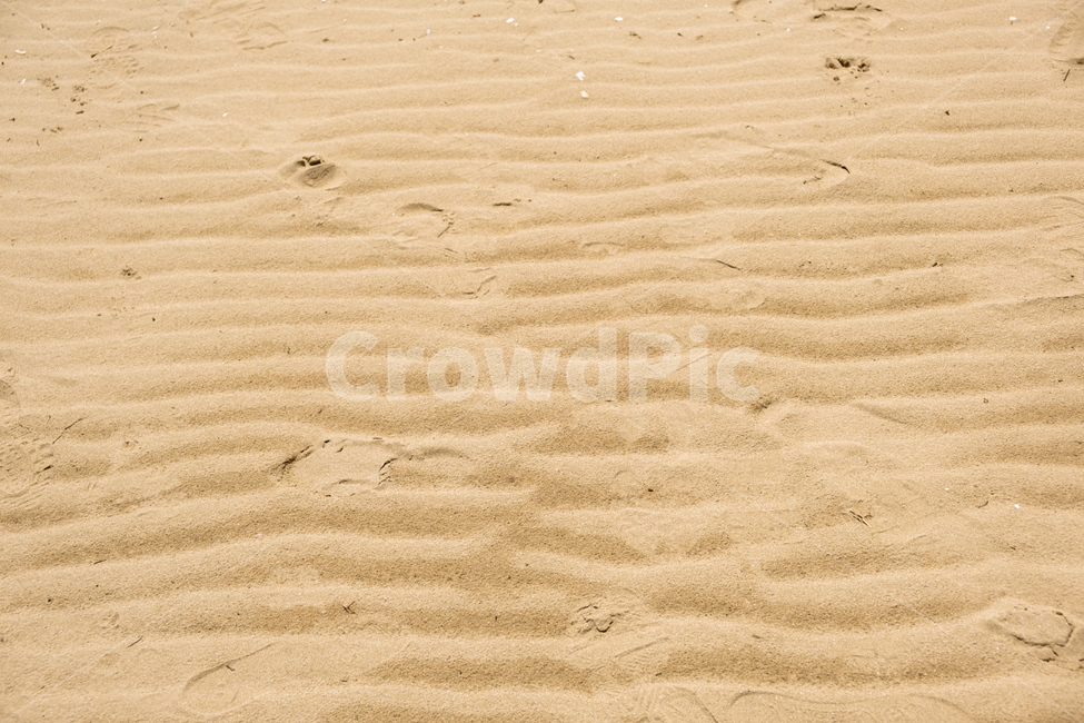 바닷가,모래사장,바다모래,모래밭,모래,sand