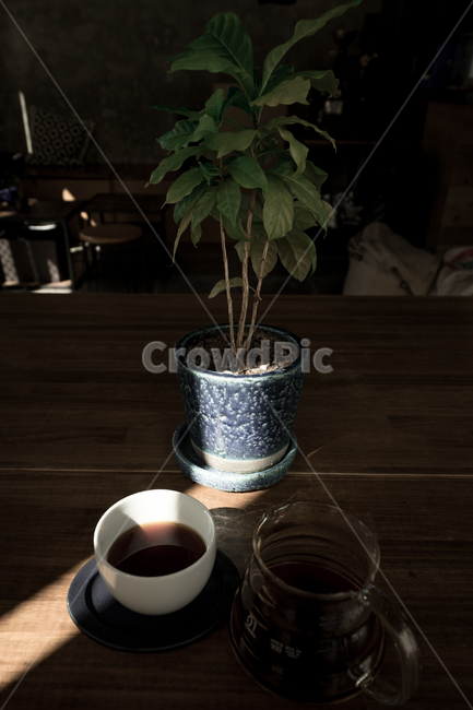 커피,커피잔,coffeecup,화분,드립커피,dripcoffee
