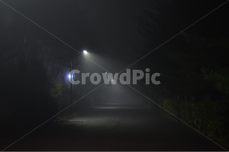 어둠,안개,분위기,감성,view,풍경,가로등,빛,light,dark,color,야경,밤,풍경,nightscape,night,landscape,nature,자연,weather,날씨,flare,플레어