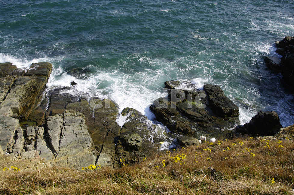 바다,바위,파도,해안,잡초,들꽃,promontory,곶,nature,자연,outdoors,옥외,cliff,낭떠러지,ocean,대양,sea,water,물