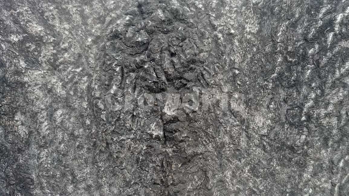 얼굴,질감,형상,나무,고목,관찰,나무얼굴,얼굴나무,텍스처,질감,패턴,texture,pattern