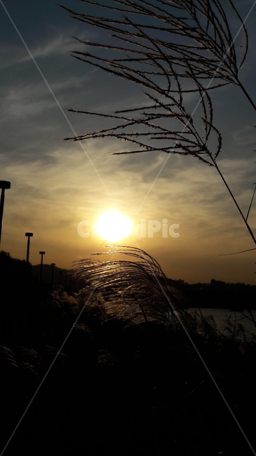하늘,노을,가을,붉은,구름,가을,계절,fall,autumn,season,flare,플레어,light,빛,sunlight,햇빛,nature,자연,outdoors,옥외