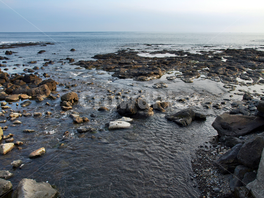 논짓물해변,바다,올레8코스,올레길,제주,서귀포시,자연,풍경,nature,landscape,제주도,jeju,jeju island,water,물,ocean,대양,outdoors,옥외,sea