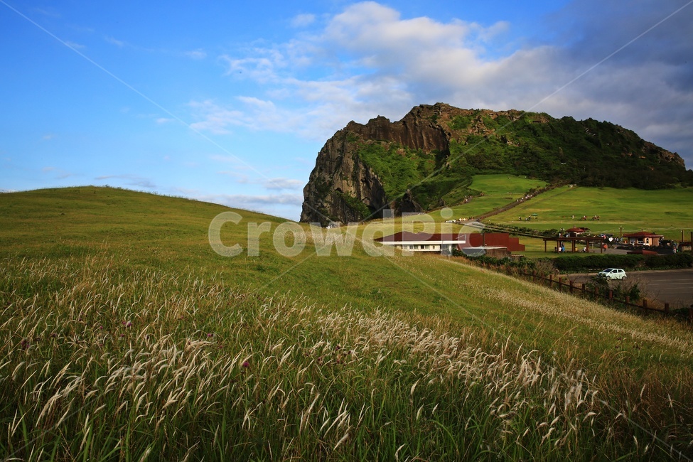 field,들,제주,scenery,풍경,outdoors,옥외,nature,자연,landscape,경치,성산일출봉,cliff,낭떠러지,제주도,jeju,jeju island