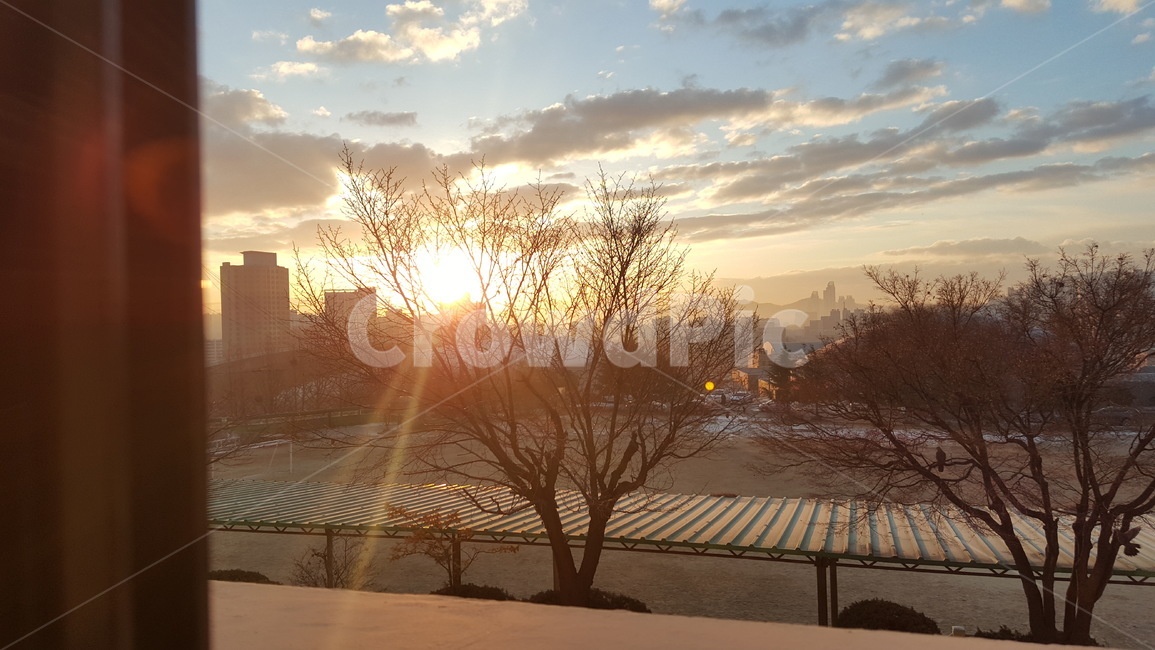 학교,나무,하늘,해,태양,창문,구름