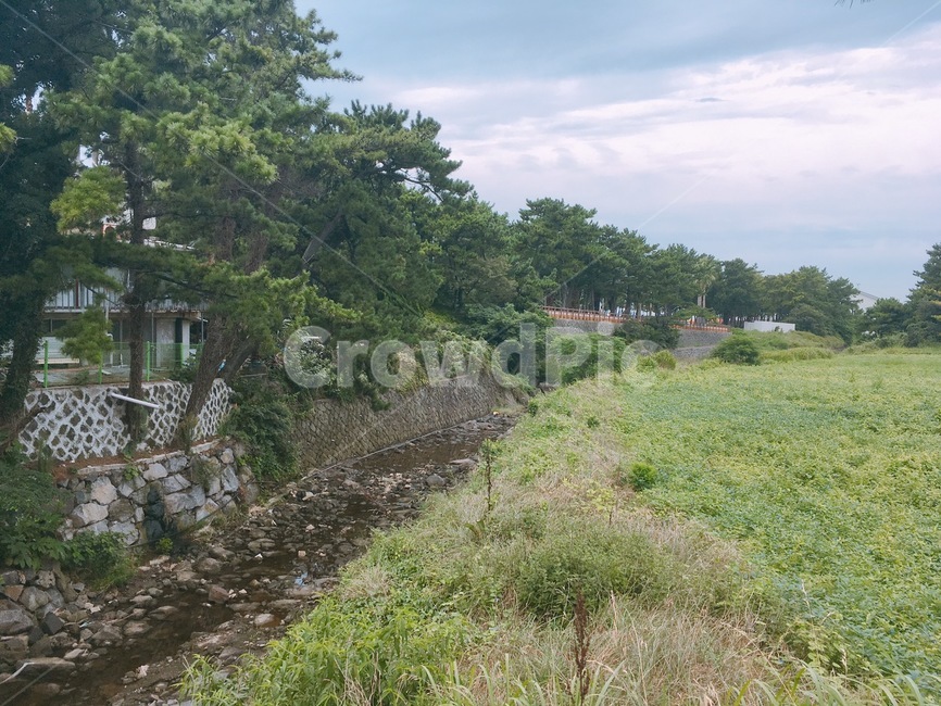 하천,자연,구름,하늘,초원,자연,풍경,nature,landscape,outdoors,옥외