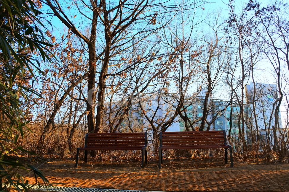 furniture,가구,벤치,parkbench,산책,자연,자연,풍경,nature,landscape