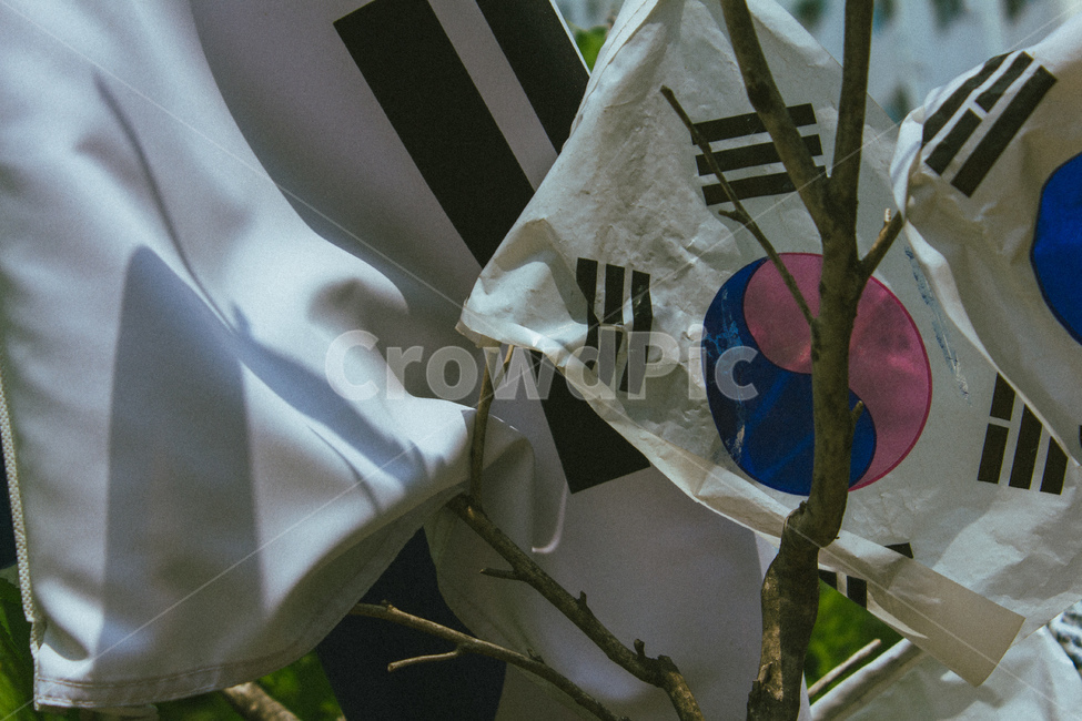 대한민국,태극기,한국,우리나라,무궁화,독립