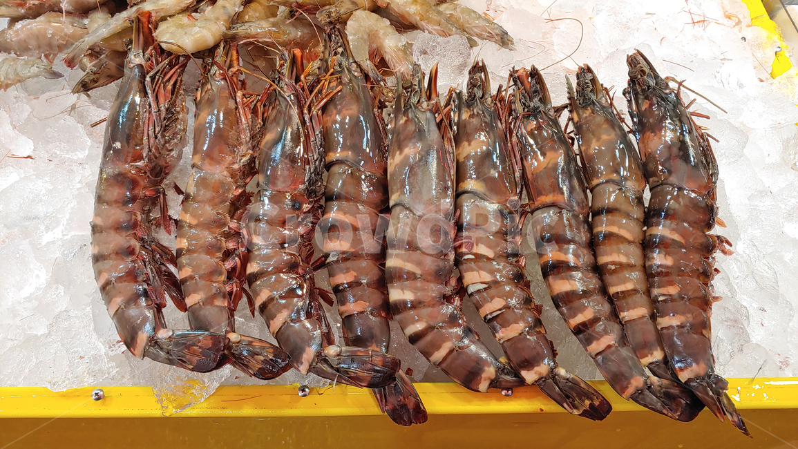 새우,수산물,왕새우,대하,생새우,타이거새우,해산물,생선,수입산,어패류,해물,먹거리,음식,푸드,seafood,food,수산시장,어시장,식자재,식재료,동물,해양생물,배경,바탕,백그라운드,animal,무척추동물,싱싱한,신선한,fresh,고단백,갑각류,Shrimp,수산물,해산물,fishery products,seafood
