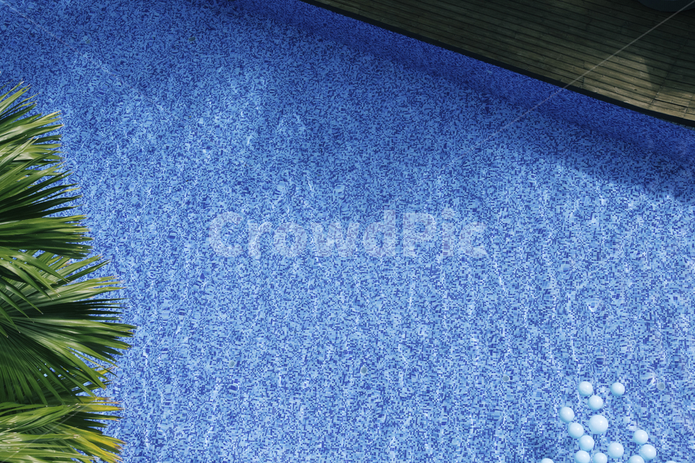 수영장,pool,summer,여름,풍선,background,cool,party,outdoor,relax,휴식,water,tropical,travel,bgight,vacation,palm,야자수,여름,계절,summer,season,여행,휴가,traveling,vacation,trip