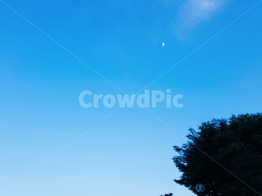 nature,자연,하늘,sky,달,moon,나무,tree,푸른하늘,outdoors,야외,풍경,자연,풍경,nature,landscape