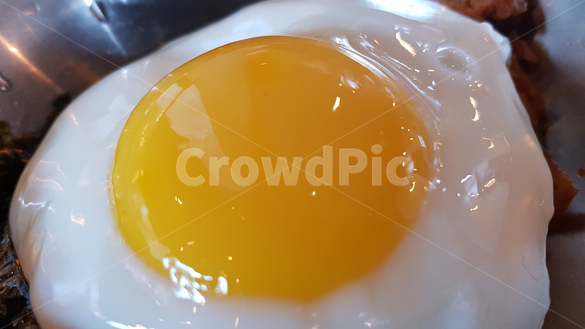 식품,egg,계란,food,음식