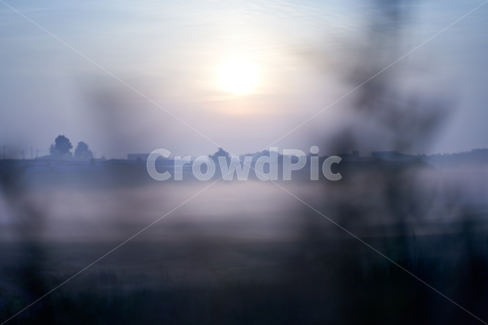 안성팜랜드,일출,물안개,안개,아침,목장,자연,풍경,nature,landscape,weather,날씨,outdoors,옥외