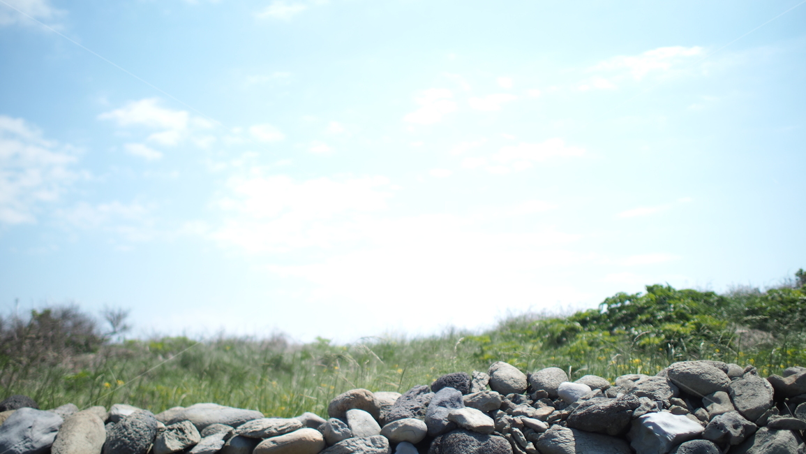 제주도,가파도,청보리밭,청보리,여름제주도,섬,자연,풍경,nature,landscape