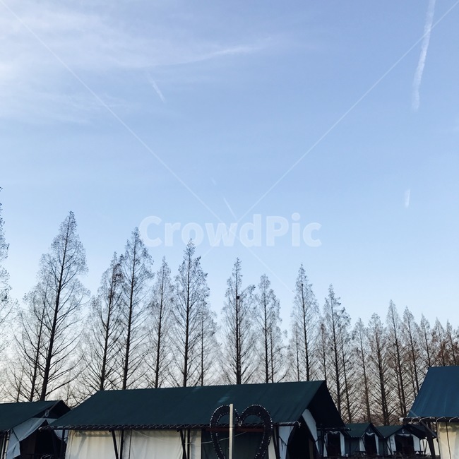 담양,나무,하늘,집,풍경,sky,자연,풍경,nature,landscape,outdoors,옥외,building,건물,housing,주택
