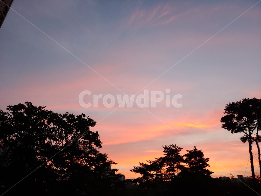 노을,저녁,황혼,붉은하늘,자연,자연,풍경,nature,landscape,silhouette,실루엣,outdoors,옥외,dusk,sunset,일몰,dawn,새벽,sky,하늘,red sky,붉은 하늘