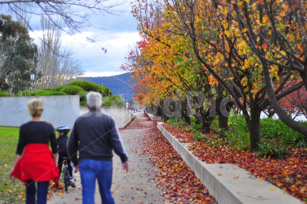 호주,가족,사랑,함께,길,인생,family,together,love,way,road,life,australia,가을,계절,fall,autumn,season,사람,인물,인간,human,person,연인,커플,사랑,lover,couple,가족,패밀리,family,연출,컨셉,콘셉,direction,concept