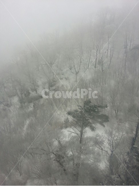 겨울산,눈꽃,덕유산,무주,겨울,계절,눈산,눈,흰색,하얀,겨울눈,색채,색감,감성,감성사진,자연,풍경,얼음