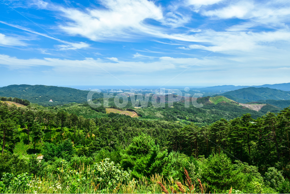 nature,자연,outdoors,옥외,산,산맥,강원도,산줄기,국립공원,나무,파란하늘,하늘,구림,푸르름