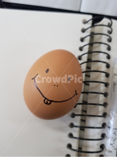 계란,달걀,웃음,스마일,egg