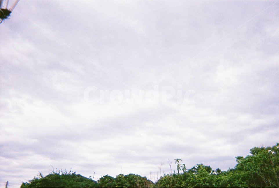 흐린하늘,구름,필름카메라,cloudy,filmcamera,자연,풍경,nature,landscape,outdoors,옥외