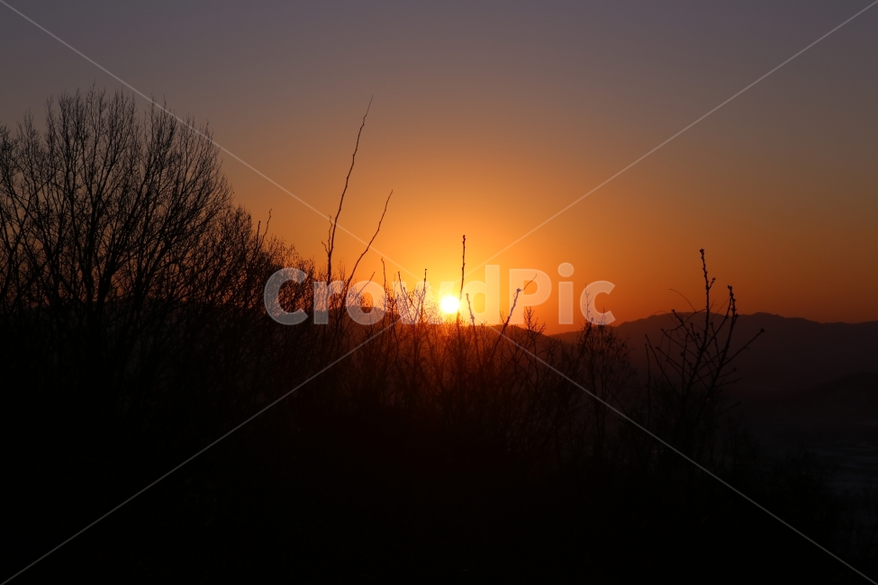 새해,해돚이,자연,아침,붉은색,자연,풍경,nature,landscape,outdoors,옥외,sky,하늘,dawn,새벽,red sky,붉은 하늘,dusk,황혼,sunset,일몰