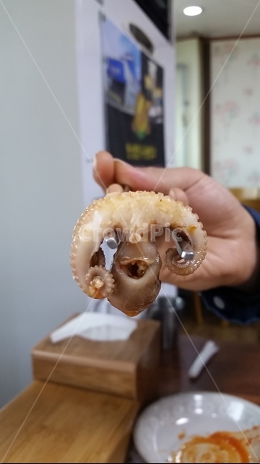쭈꾸미,해물탕쭈꾸미,해물탕,해산물,해물