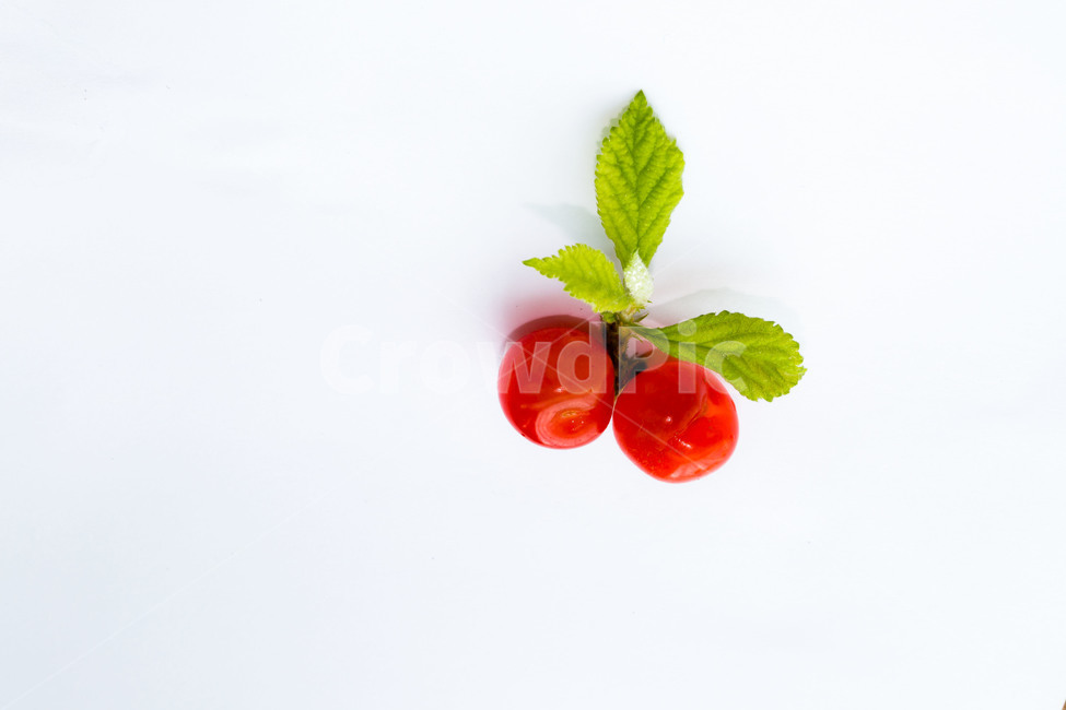 과일,앵두,디저트,여름,문양,음식,식재료,요리,food,cook,meal,dishes,food reserves,과일,열매,fruit,누끼,remove background