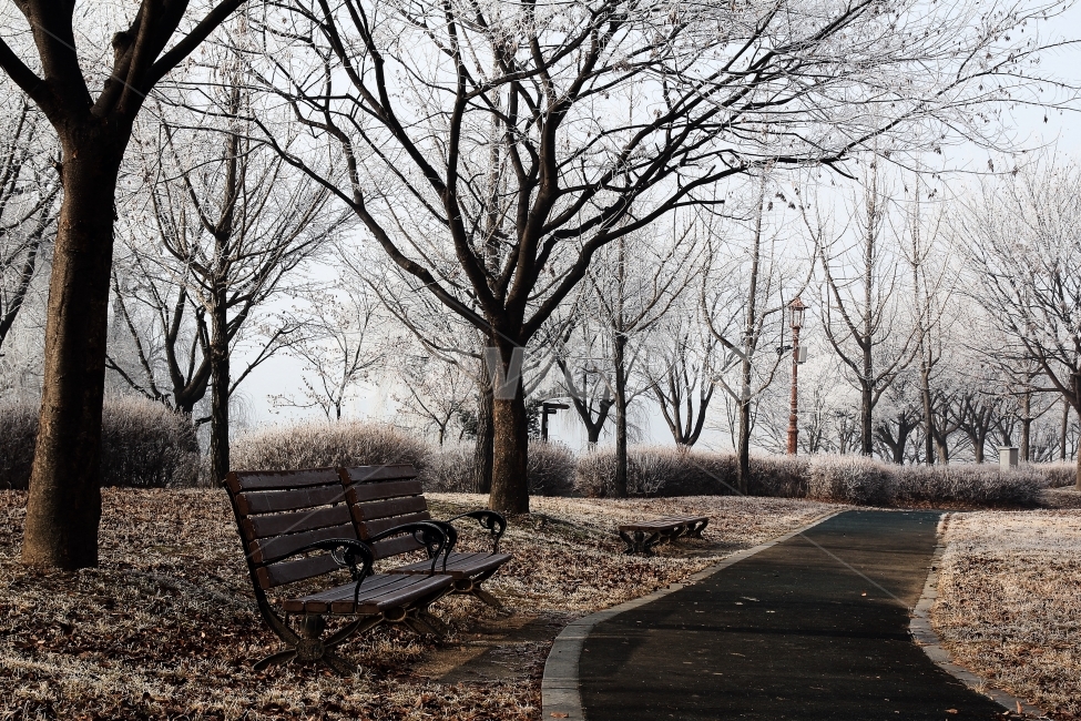 겨울,휴식,길,산책,안개,겨울,계절,winter,season,자연,풍경,nature,landscape