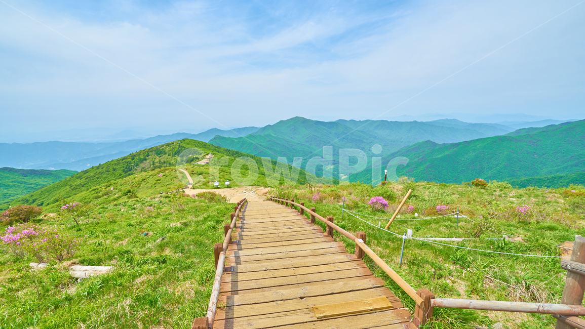 지리산,노고단,100대명산,지리산철쭉,서북능선
