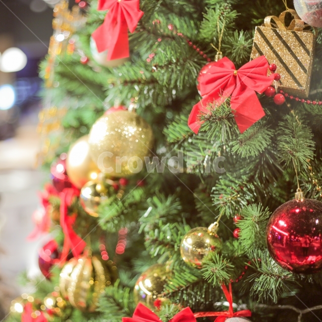 크리스마스,크리스마스트리,감성사진,christmas,christmastree,감성,느낌,색감,감성스냅,메리크리스마스,겨울,계절,winter,season,기념일,축하,anniversary,congratulation,celebrate,celebration,메리크리스마스,성탄절,merry christmas