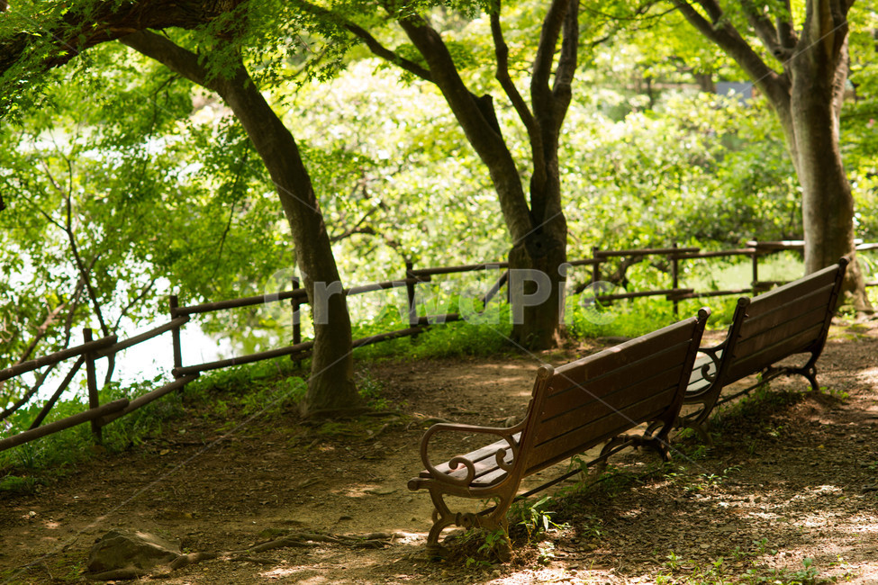 창원,진해,내수면연구소,생태계공원,명소,자연,풍경,nature,landscape,휴식,힐링,rest,relaxation,healing,bench,벤치