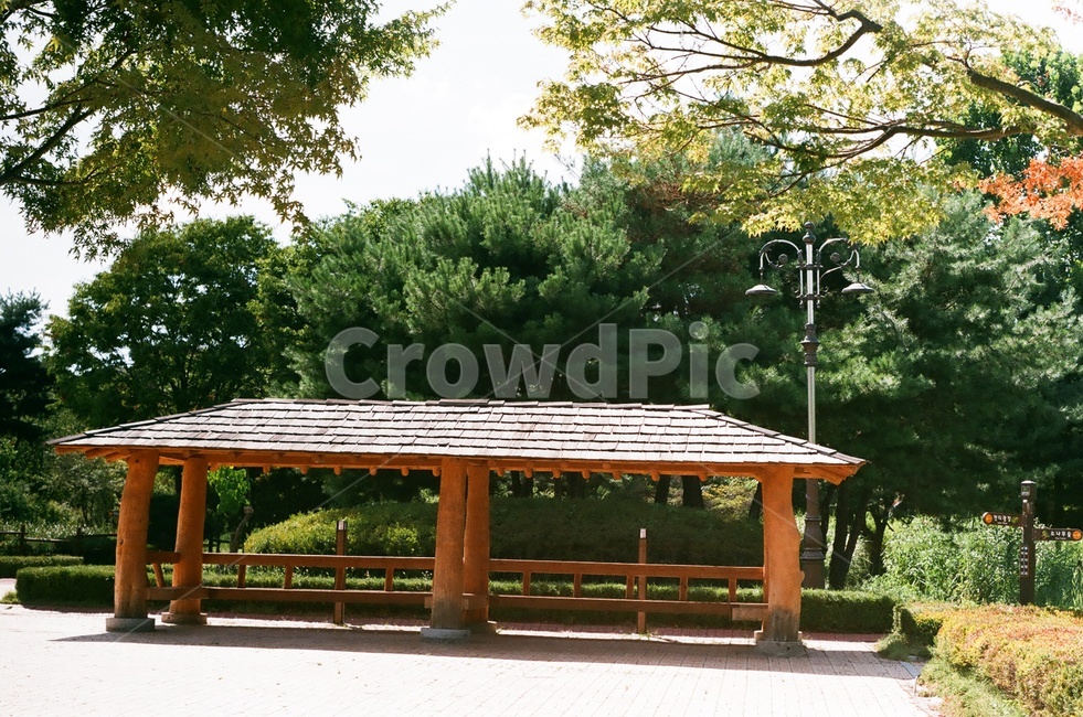 쉼터,자연,나무,그늘,여름,녹색,여름,계절,summer,season,휴식,힐링,rest,relaxation,healing,porch,현관,patio,안마당,pergola,페르 골라