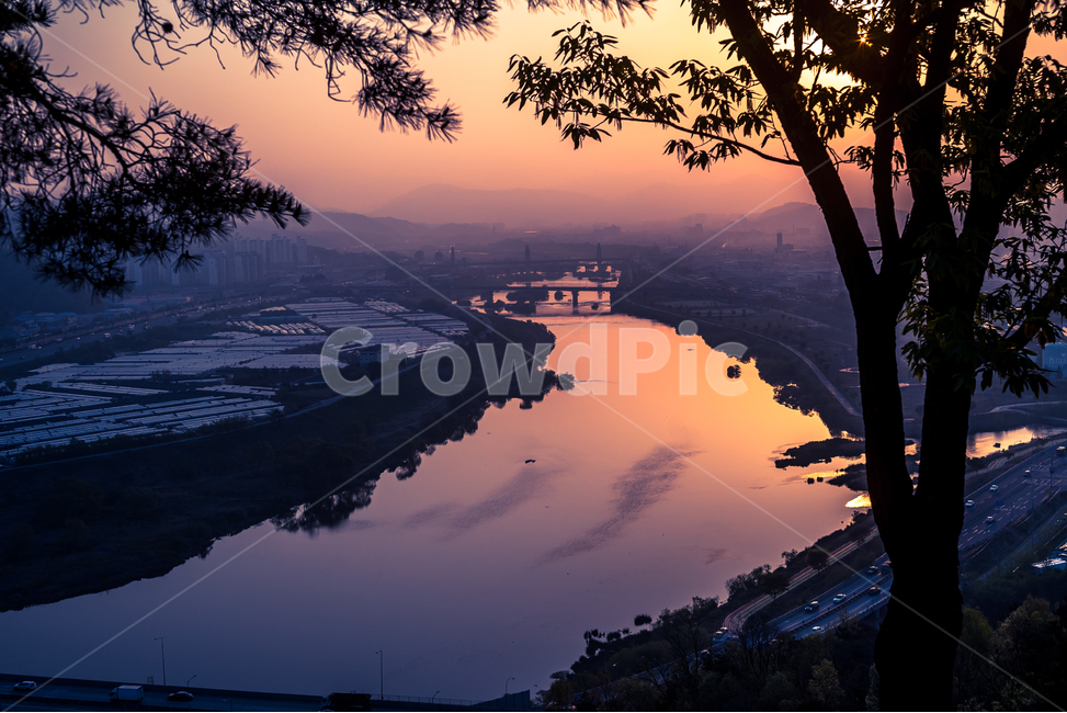 일출,여명,강,도시풍경,나무,도시,풍경,city,landscape,한국도시풍경,한국도시경관,korea cityscape,outdoors,옥외,scenery,nature,자연,경치