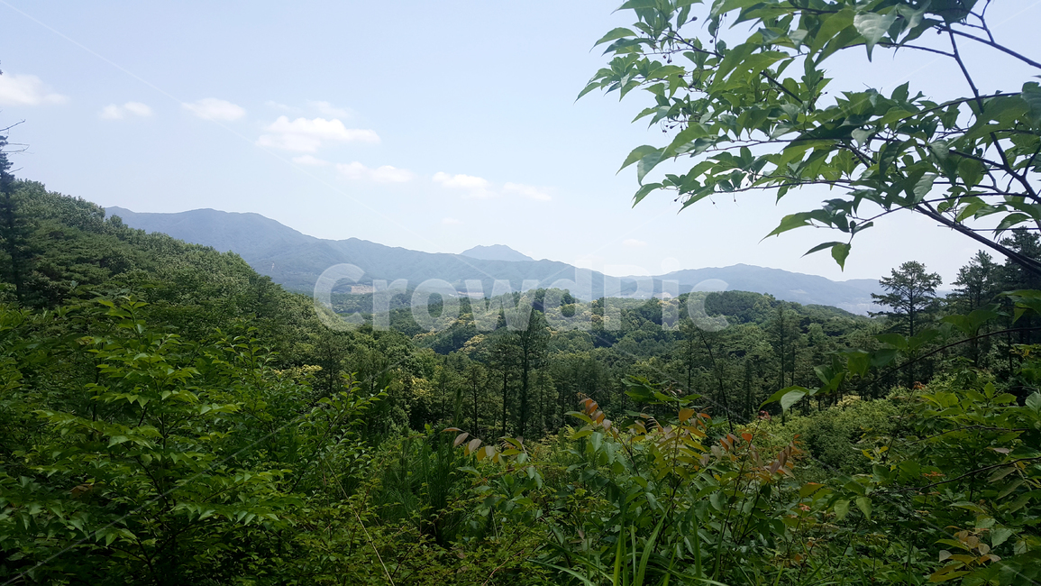 산,나무,나뭇잎,하늘,풍경,초록,내추럴,아름다움,식물,여름,평화,정상,mountain,trees,leaves,sky,landscape,green,natural,beauty,plants,summer,peace,summit,자연,풍경,nature,landscape,outdoors,옥외