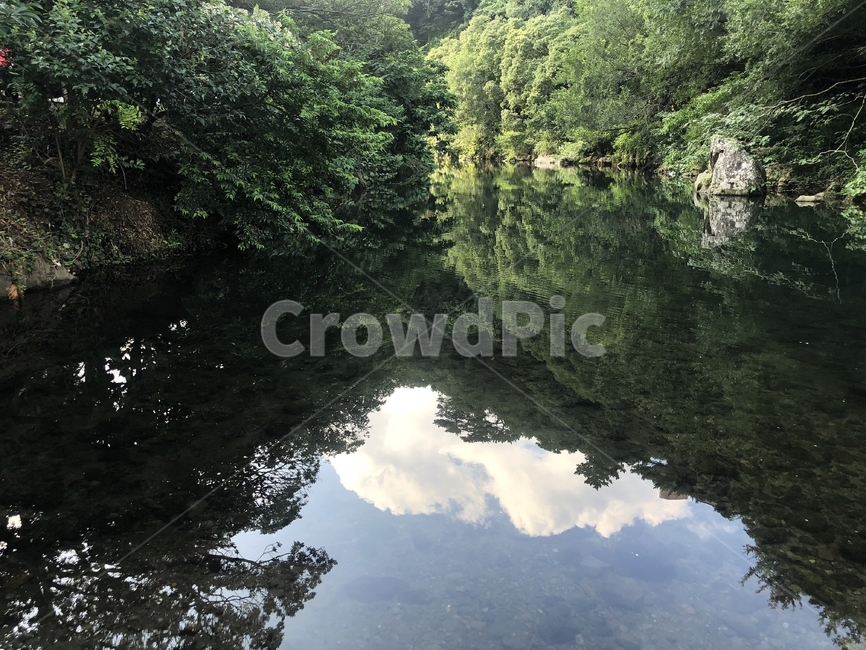 계곡,제주도,화창,힐링,맑음,자연,경관,풍경