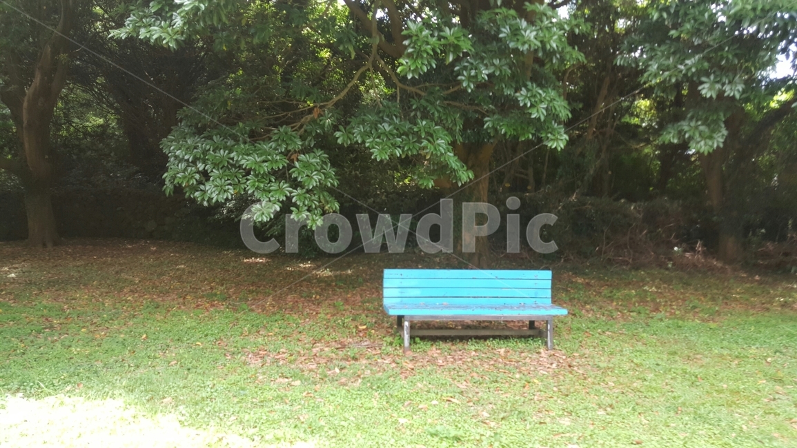 공원벤치,벤치,빈의자,나무의자,공원,잔디밭,bench,grass,lawn,tree,forest,숲,woods,wood